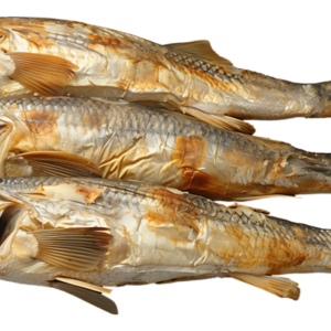 DRY fish samples